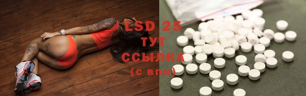 mdpv Ельня