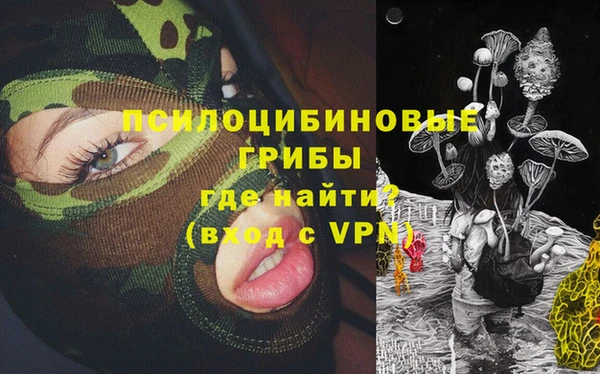 винт Наволоки
