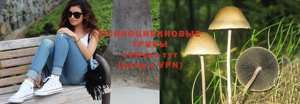mdpv Ельня