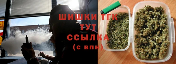эйфоретик Елизово