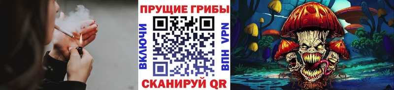 где найти наркотики  мега вход  Галлюциногенные грибы прущие грибы  Славянск-на-Кубани 