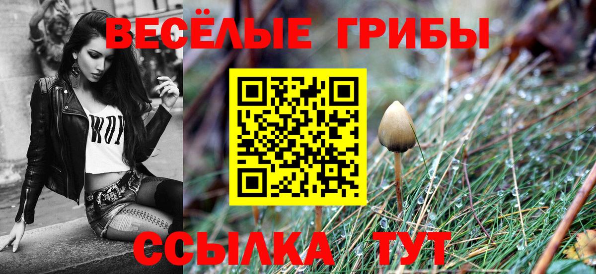 Галлюциногенные грибы ЛСД  цены наркотик  Славянск-на-Кубани  Вход с VPN  Галлюциногенные грибы Cubensis 