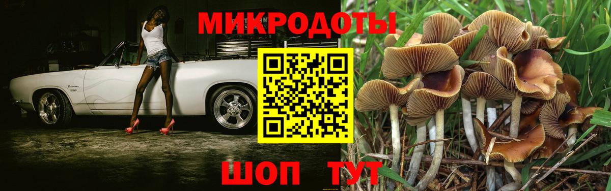 Псилоцибиновые грибы мицелий Славянск-на-Кубани