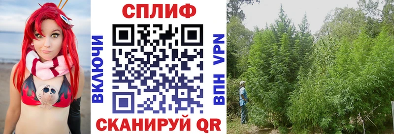 Конопля VHQ  купить наркотик  Славянск-на-Кубани 