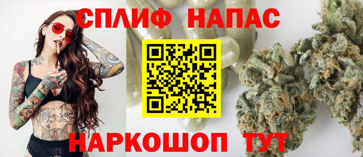 МАРИХУАНА ГИДРОПОН Славянск-на-Кубани